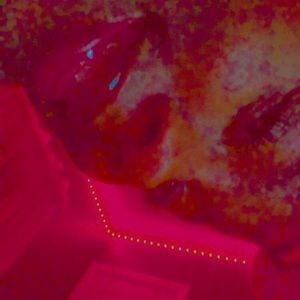 Meet your Posher, Ariana